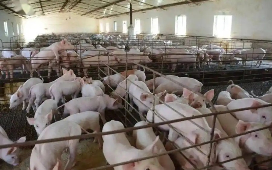 1772672916239794.jpg 燃气发电机组在不同行业的应用案例.jpg